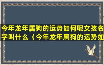 今年龙年属狗的运势如何呢女孩名字叫什么（今年龙年属狗的运势如何呢女孩名字叫什么 🐝 好听）